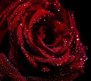 To Take My Breath Away